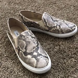 Steve Madden Snakeskin shoes